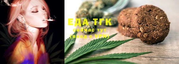 спайс Гвардейск