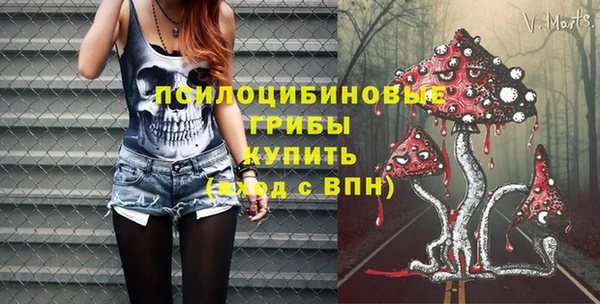 СК Новозыбков