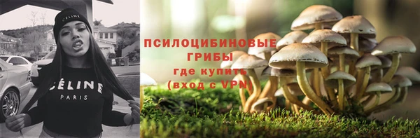 СК Новозыбков