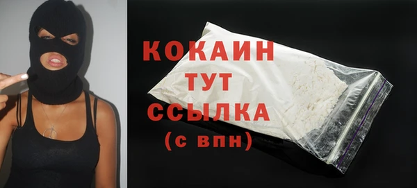 PSILOCYBIN Новодвинск
