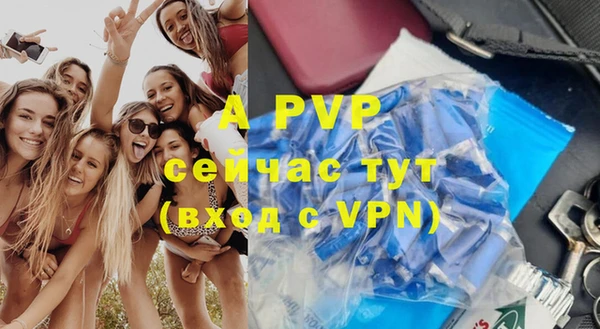 СК Новозыбков