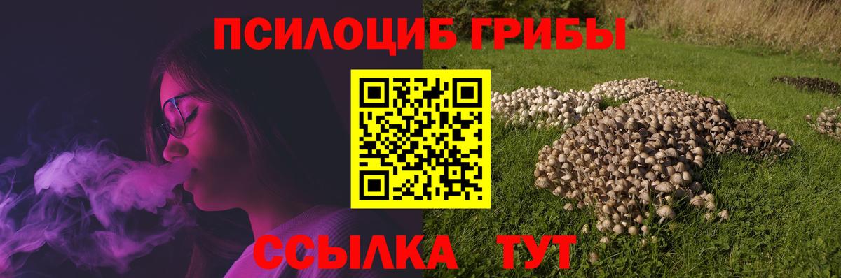 Галлюциногенные грибы мухоморы Полевской